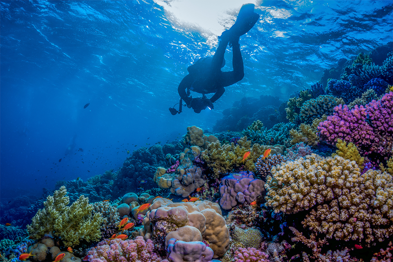 Red Sea Luxury Escape